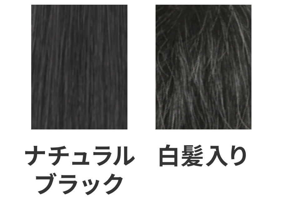 医療用ウィッグ男性用の髪色